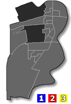 Henry Precinct Map
