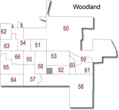 Woodland Precincts